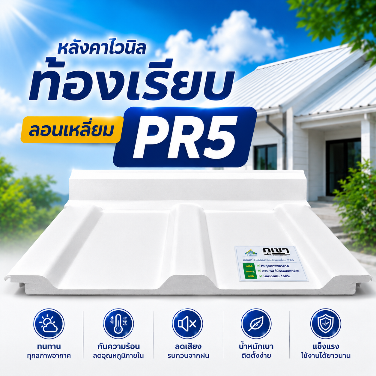 ไวนิล PR5