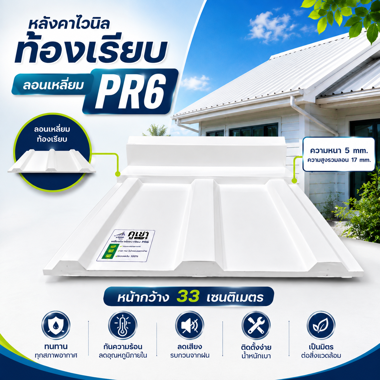 ไวนิล PR6